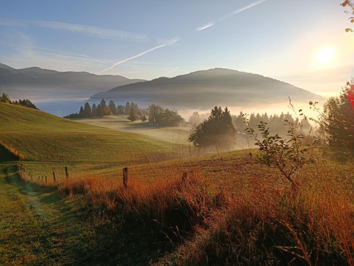 Apartmaji Hodak Bohinj Buitenkant foto